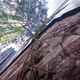 Illustration for article titled Stunning images of the endless buildings and skies of Hong Kong